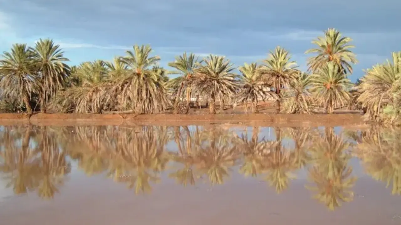 Captura de pantalla 2025-05-20 141333
