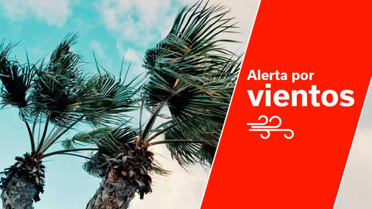 Alerta-vientos-portal-web-1