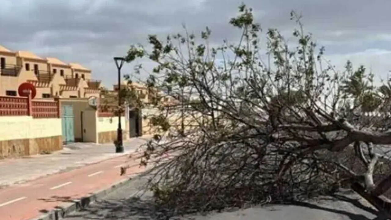 Archivo el paso de la borrasca Nuria por Fuerteventura