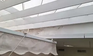 Foto 4 (2)