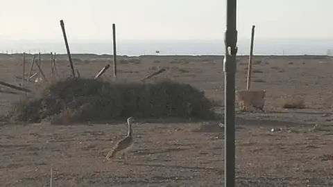 Suelo del camping de Piedra Playa