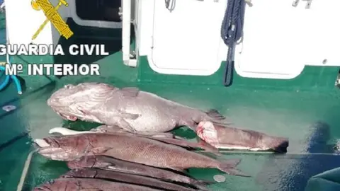 Pescado intervenido por la Guardia Civil