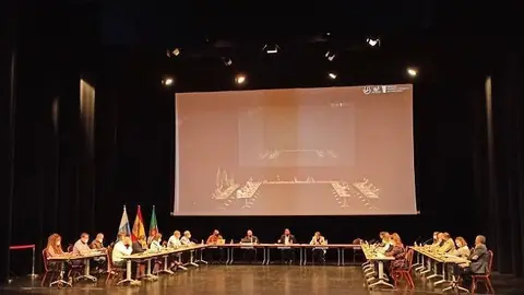 Pleno del Cabildo de Fuerteventura