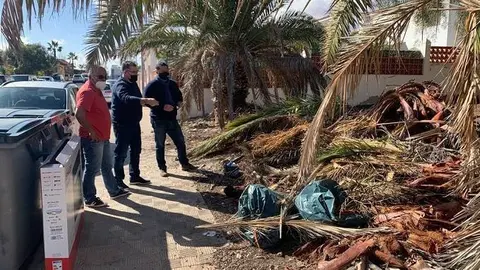 Limpieza de restos de poda en La Oliva