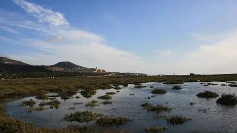 Humedal Saladar de Jandía