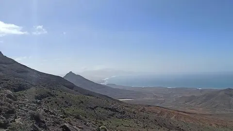 El Cardón