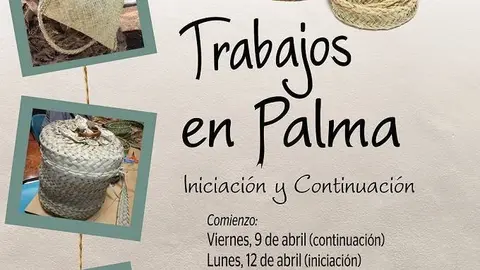 cartel curso de palma