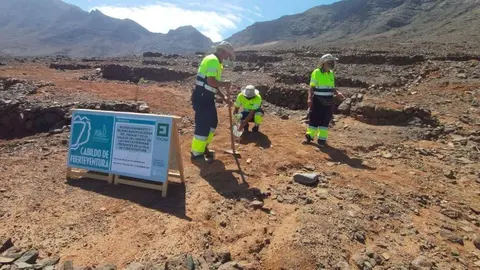 revegetacióncofete2