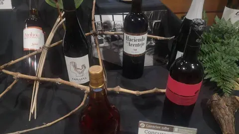 vinosagrocanarias(granmedalladeoro) (1)