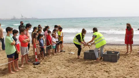 8 junio 2021 SUELTA TORTUGAS.png