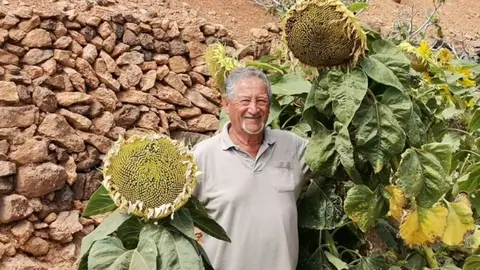 Carlos Chiara y un girasol gigante