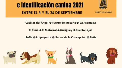 Puerto del Rosario pondrá en marcha en septiembre la Campaña de vacunación antirrábica e identificación canina 2021