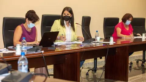 2021 09 21 Pleno Tuineje