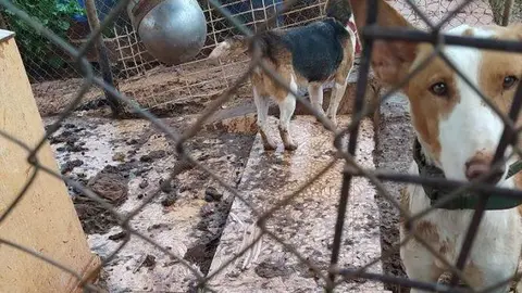 WhatsApp Image 2021-11-26 at 13.38.33