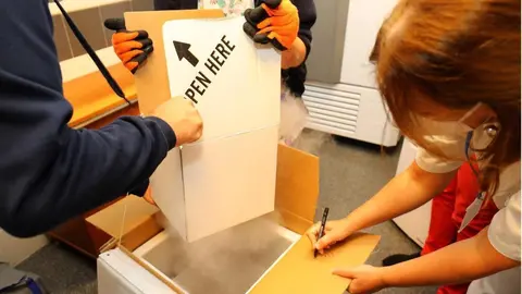 Llegada de las vacunas