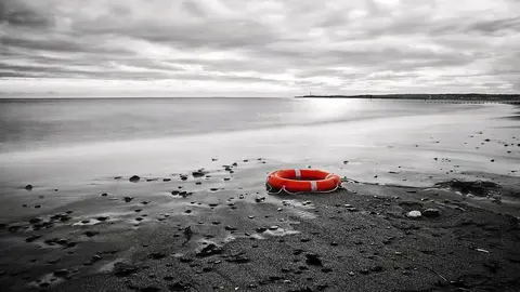 423701_gallery.world