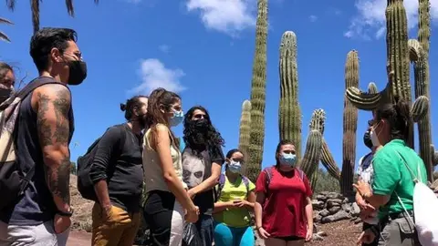 Oasis