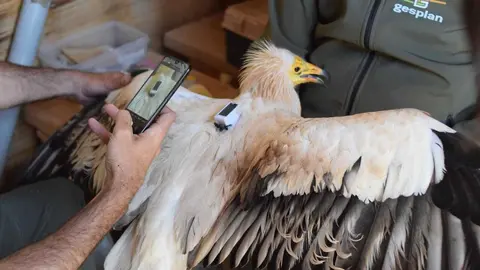 3 de marzo 2022 GUIRRE1