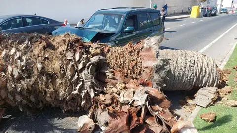 WhatsApp Image 2022-05-02 at 4.47.07 PM (1)