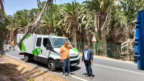 Palmeral 6