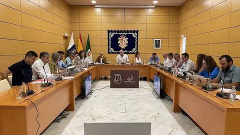 Pleno del Cabildo de Fuerteventura