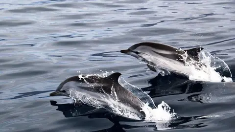 Imagen: Barcelo.com