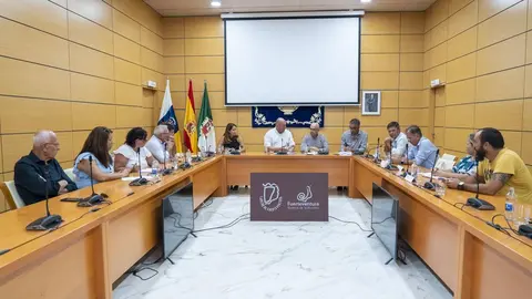 Representantes locales e insulares
