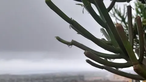 Lluvia con Castillo de fondo