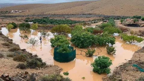 WhatsApp Image 2022-09-26 at 12.24.17