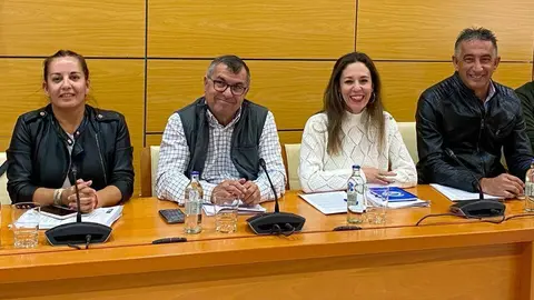 Archivo PP Cabildo (1)