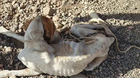 WhatsApp Image 2023-01-24 at 19.56.19