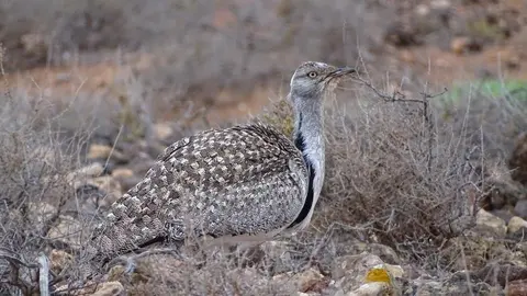 WhatsApp Image 2023-02-09 at 09.56.43