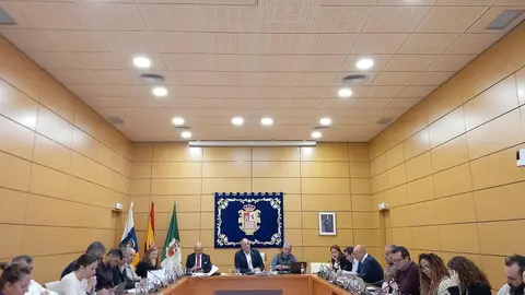 PLENO-INSULAR-SUBVENCIONES