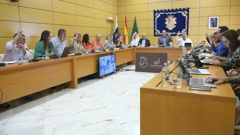 230331_pleno_cabildo (1)