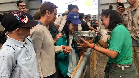 WhatsApp Image 2023-05-12 at 13.03.56