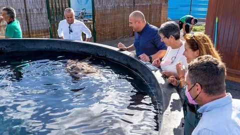 Centro de recuperación de tortugas