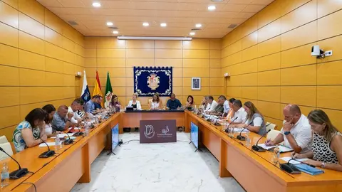 pleno 28 julio
