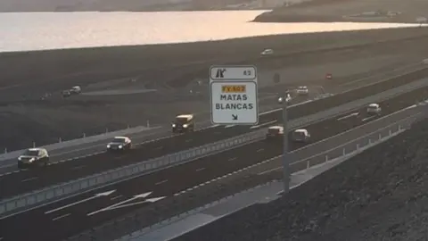 cuchillete matas blancas