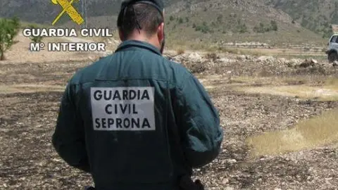 Guardia Civil Seprona