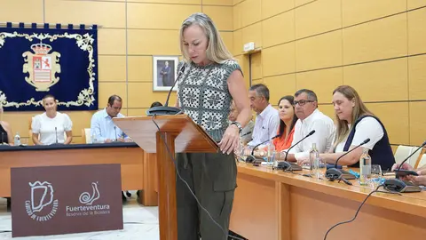 20230914_pleno_cabildo_web