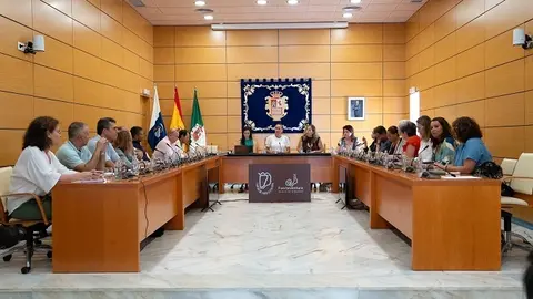Consejo Rector del Patronato de Turismo de Fuerteventura