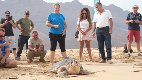 20231016_tortuga_cofete 9