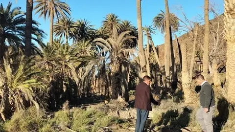 Finca de Ajuy Berdullas y Armas