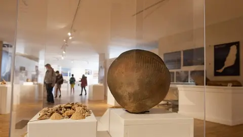 Exposición Museo Arqueológico FTV