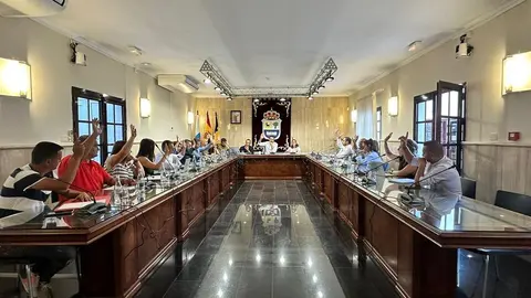 Pleno ordinario 26102023