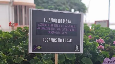 CORAZONES-FIELTRO-25N-VIOLENCIA-GENEROngdtnhg