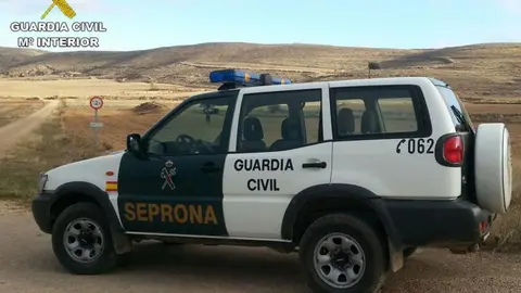 SEPRONA ARCHIVO