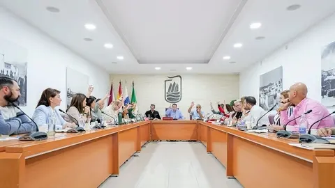 Pleno Extraordinario 23