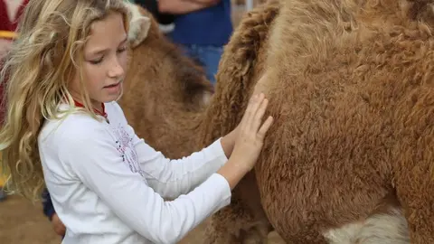 experiencias Dromemilk niña con camello