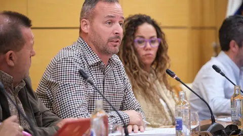 20440126_pleno_cabildo 13